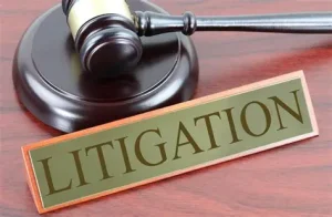 Litigation Services